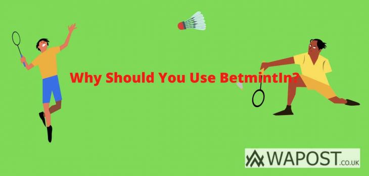 Why Should You Use BetmintIn?