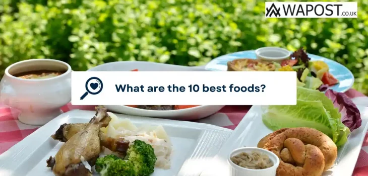 What are the 10 best foods?