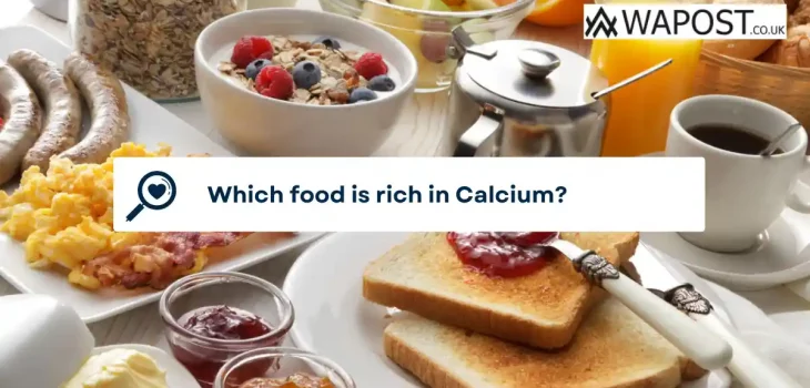 Which food is rich in Calcium?