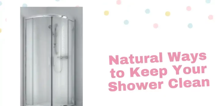 Natural Ways to Keep Your Shower Clean