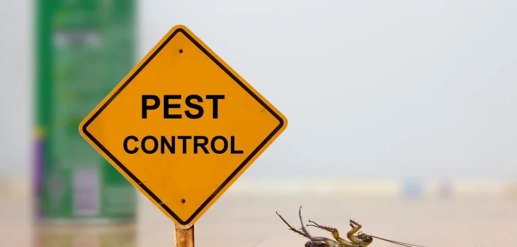 DIY Pest Control Solutions for Your Yard