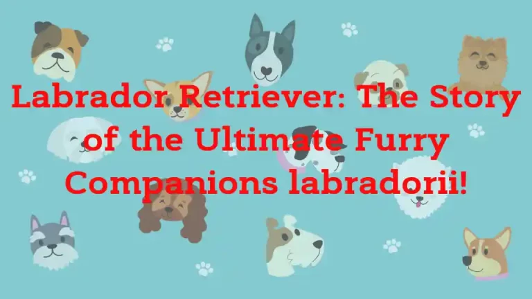 Labrador Retriever: The Story of the Ultimate Furry Companions labradorii!
